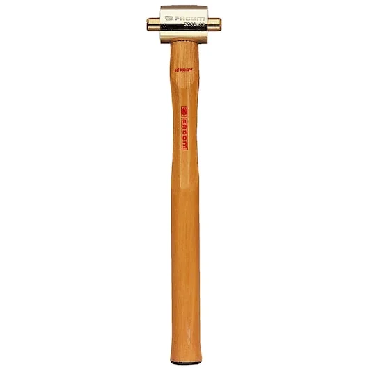 Facom 208A.25A source-reviewed product