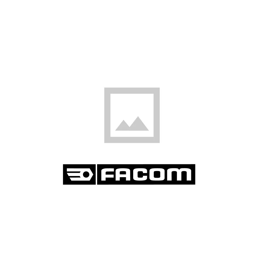 Facom DTS.4 source-reviewed product