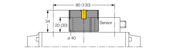 Turck BTS-DS20-TP1 source-reviewed product