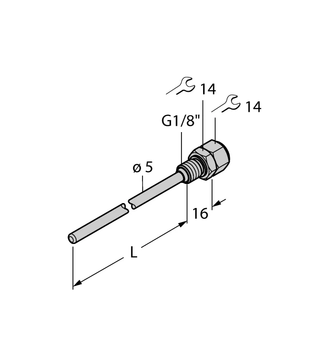 Turck THW-3-G1/8-A4-L050 source-reviewed product